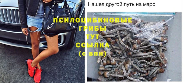 a pvp Алексин